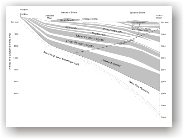 Coastal Plain regional cross-section